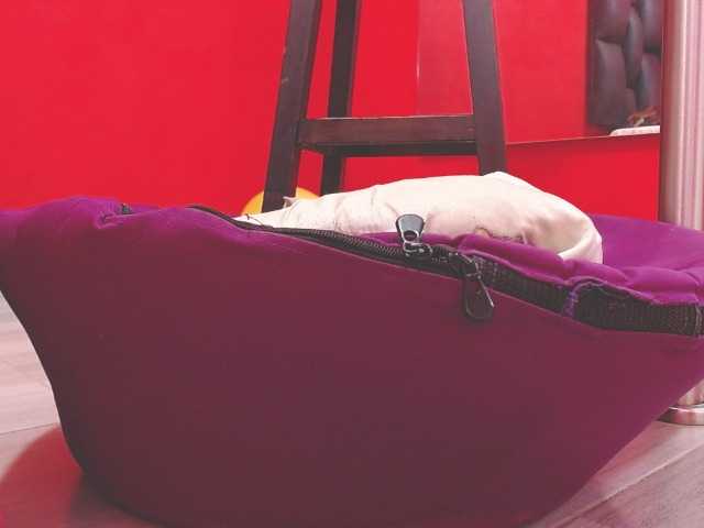 Live sex webcam photo for megan-lovitz #274356174