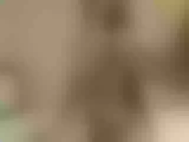 Live sex webcam photo for megan6969 #271782136