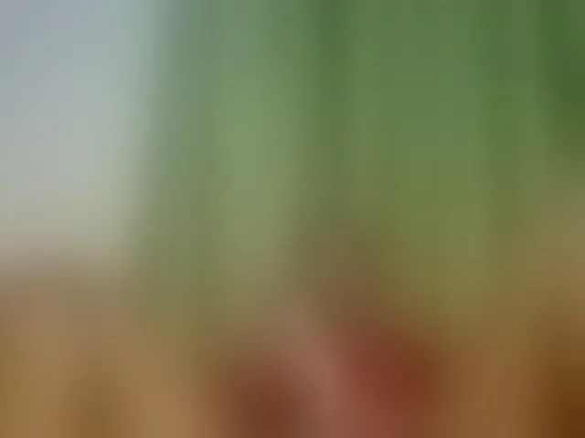 Live sex webcam photo for meghan-spice #291887196