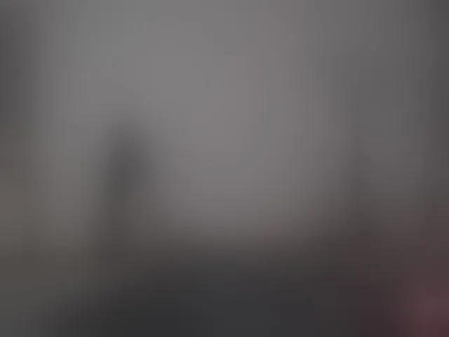 Live sex webcam photo for mel-collins #293665983
