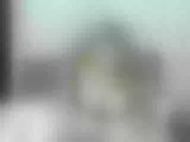 Live sex webcam photo for melanybusty #272886883