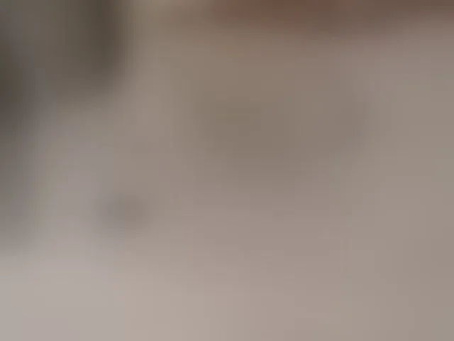 Live sex webcam photo for mellannie8 #293724135