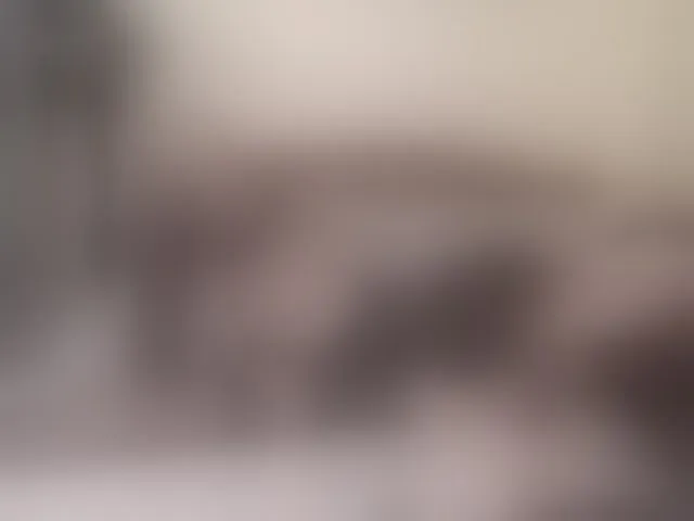 Live sex webcam photo for mellannie8 #294196776