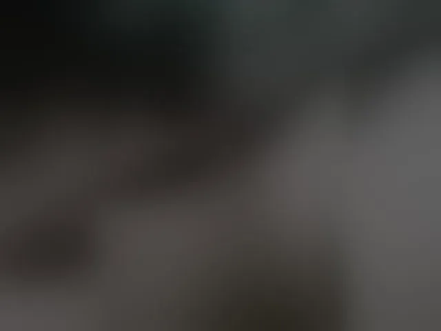 Live sex webcam photo for menalf55 #292593429