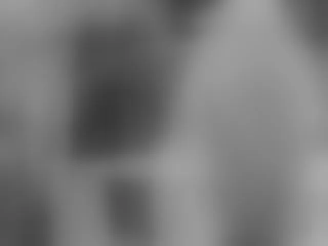 Live sex webcam photo for meow #293550973
