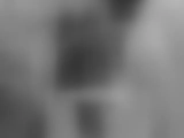 Live sex webcam photo for meow #294261027