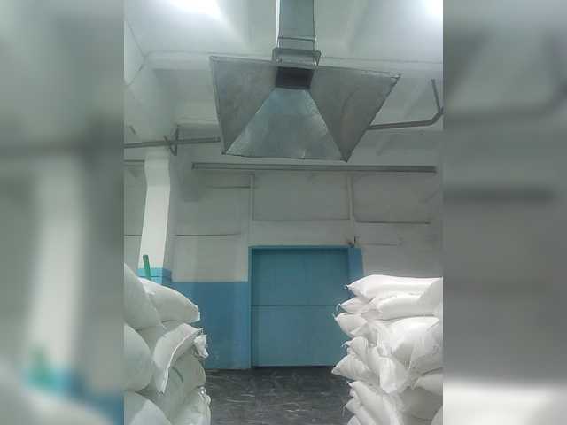 Live sex webcam photo for merkus666666 #281550560