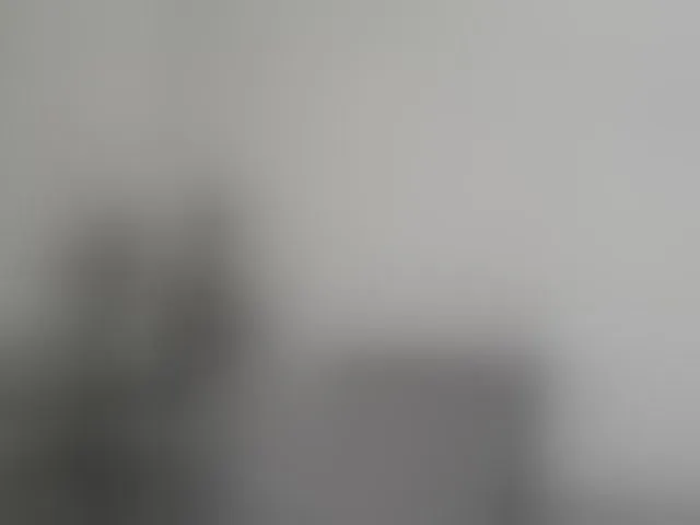 Live sex webcam photo for mery8poppins #294181657