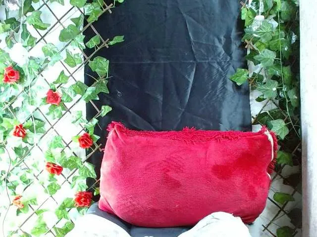 Live sex webcam photo for mia-289 #292349679