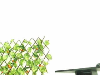 Live sex webcam photo for Mia-parker #178806454