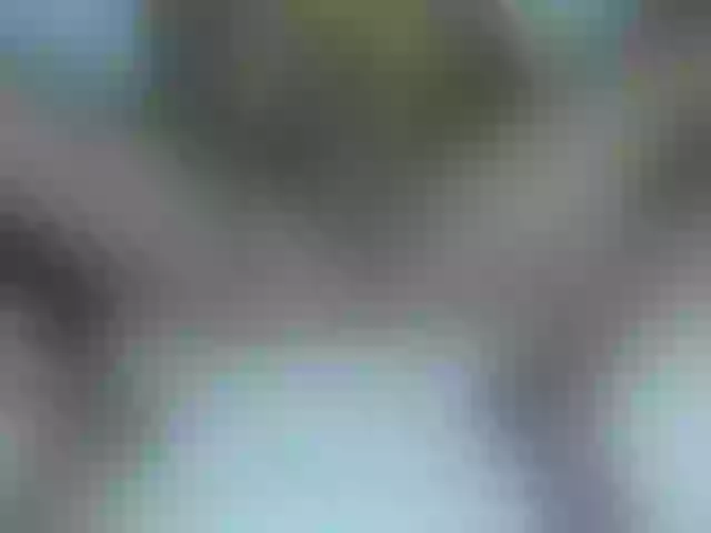 Live sex webcam photo for mia-thommson #292069282