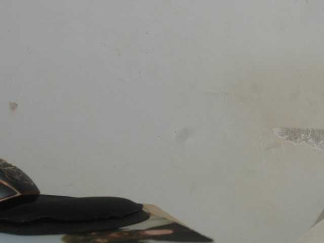 Live sex webcam photo for miahot1520 #276895349