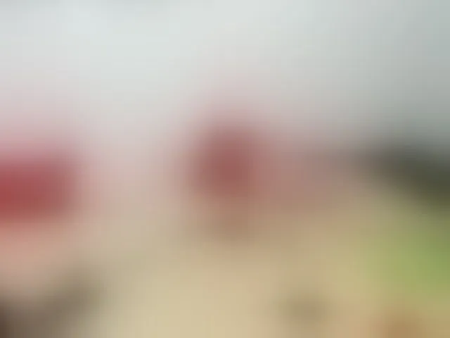 Live sex webcam photo for miamariia #292757507