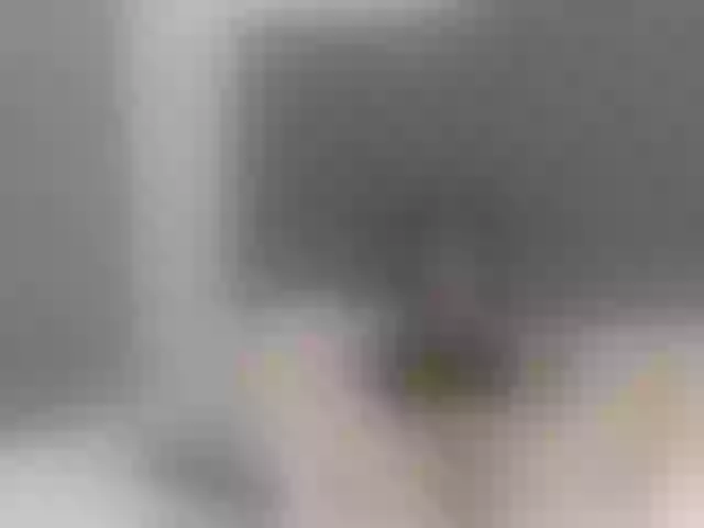 Live sex webcam photo for miaortix #271878141