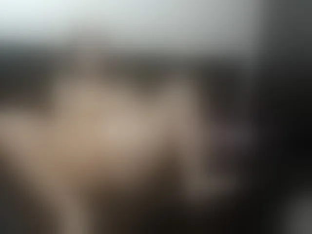 Live sex webcam photo for miavox #277529640