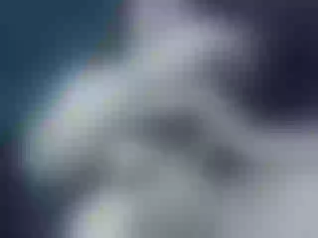 Live sex webcam photo for miavox #278012804