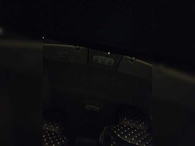 Live sex webcam photo for milaflower #274649838