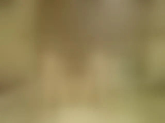 Live sex webcam photo for milfaolla #293780706
