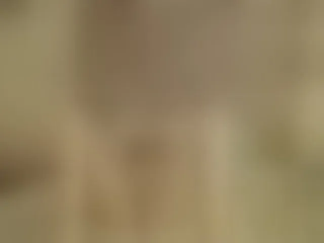 Live sex webcam photo for milfaolla #293825714