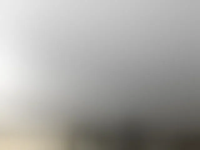Live sex webcam photo for milfebony #292741456
