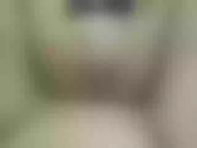 Live sex webcam photo for milfpleasure1 #291064306