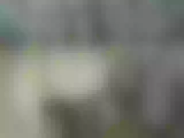 Live sex webcam photo for milli1983 #290512132