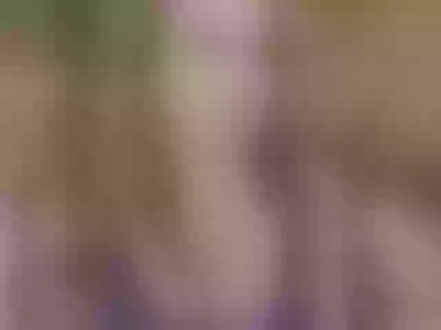 Live sex webcam photo for milli1983 #291933662
