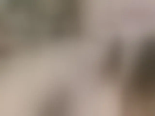 Live sex webcam photo for milli1983 #292554536