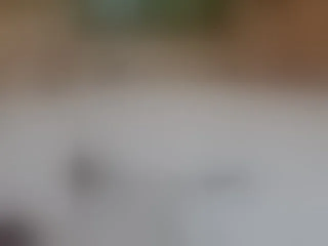 Live sex webcam photo for milli1983 #293900883