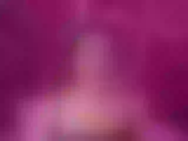 Live sex webcam photo for millyprint #292195095