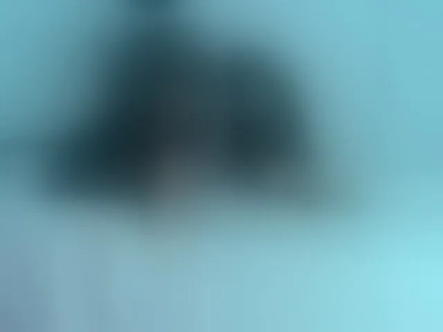 Live sex webcam photo for milytylor #292700537