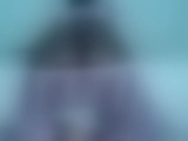 Live sex webcam photo for milytylor #292708417