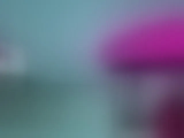 Live sex webcam photo for milytylor #293828953