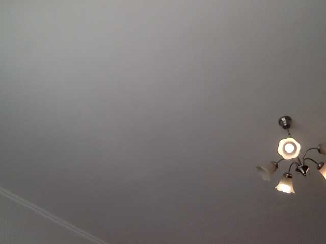 Live sex webcam photo for mimesssSS #277506929