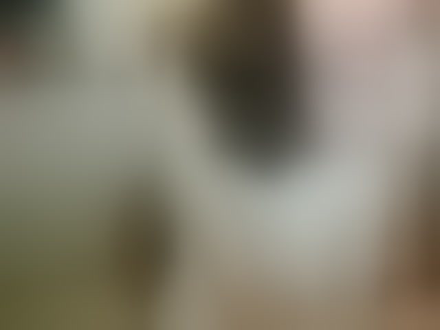 Live sex webcam photo for minanaxx #293987144