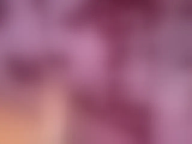 Live sex webcam photo for miranda-robinson #293642254