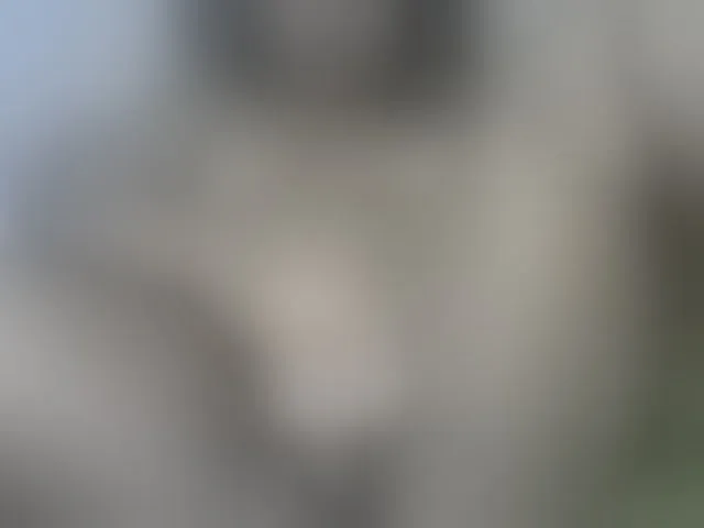 Live sex webcam photo for miss-caramel #291732837