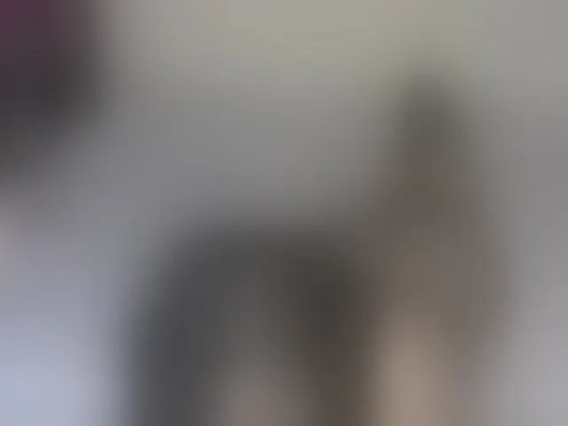Live sex webcam photo for miss-caramel #293718866