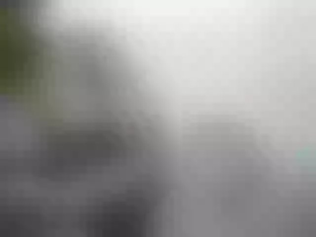 Live sex webcam photo for miss-resia #277501791