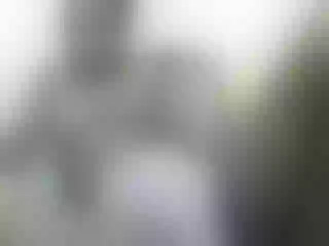 Live sex webcam photo for miss-resia #288484874