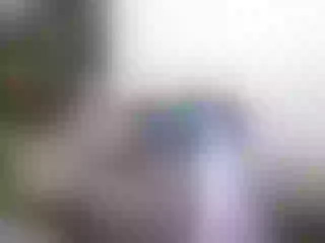 Live sex webcam photo for miss-resia #290240128