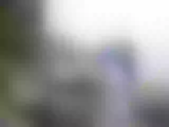 Live sex webcam photo for miss-resia #290365719