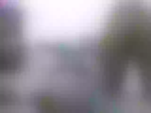 Live sex webcam photo for miss-resia #290398471