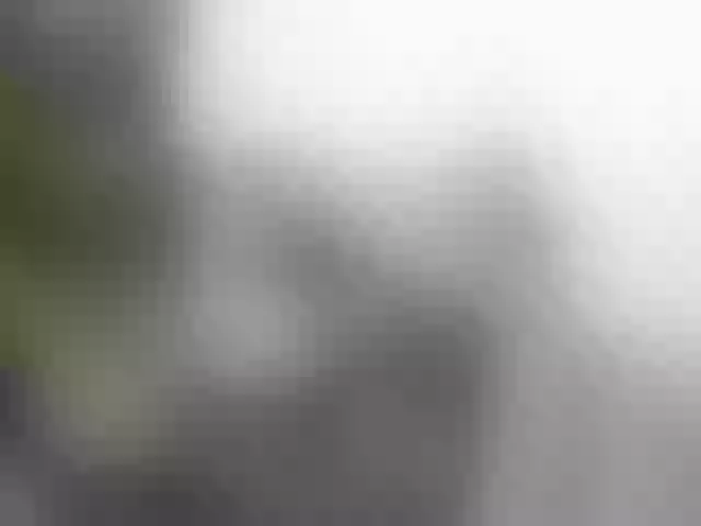 Live sex webcam photo for miss-resia #290518245