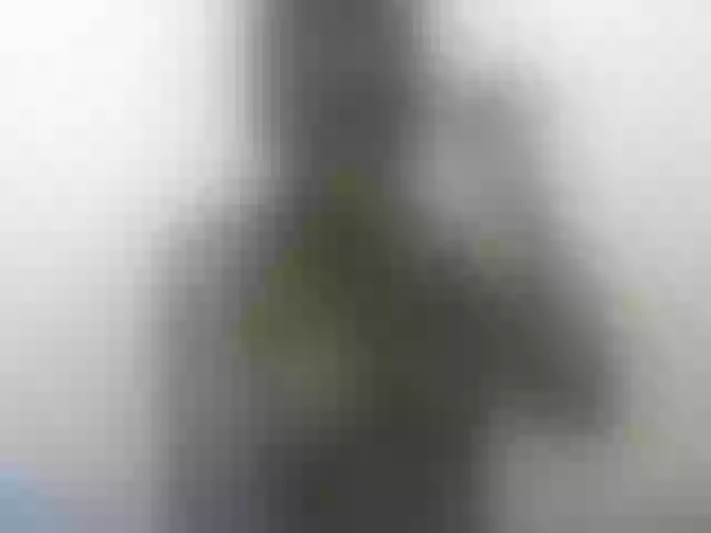 Live sex webcam photo for miss-resia #290574312