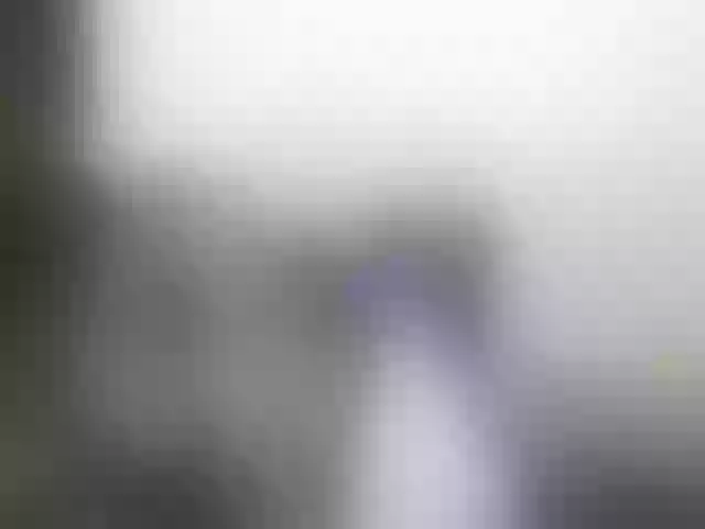 Live sex webcam photo for miss-resia #290576161