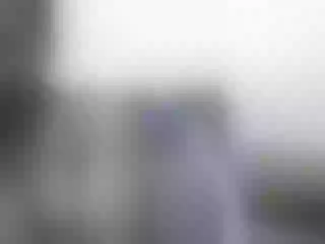 Live sex webcam photo for miss-resia #290583485