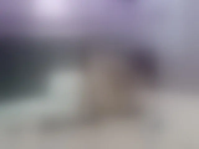 Live sex webcam photo for missmagiic #274107517