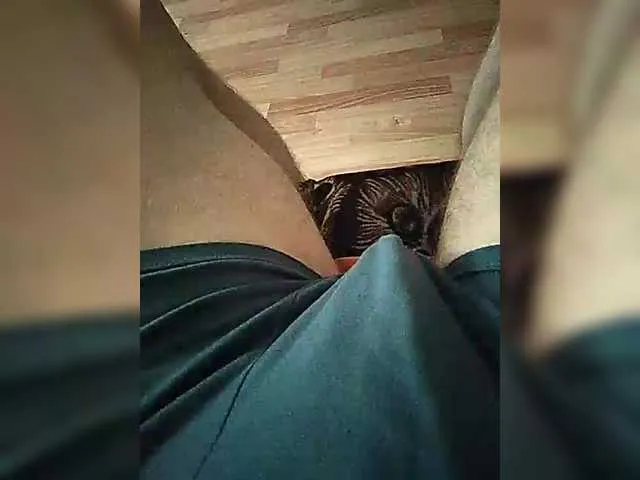 Live sex webcam photo for mister88777 #291725867