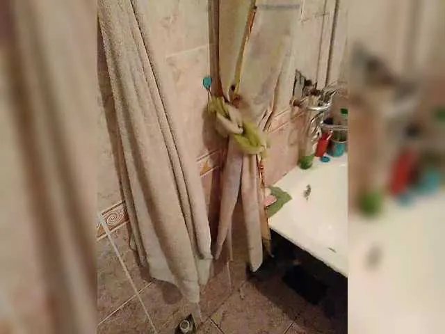 Live sex webcam photo for mister88777 #292293407